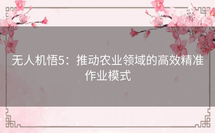 无人机悟5：推动农业领域的高效精准作业模式