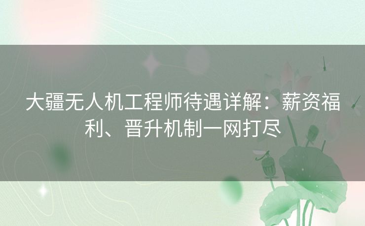 大疆无人机工程师待遇详解：薪资福利、晋升机制一网打尽