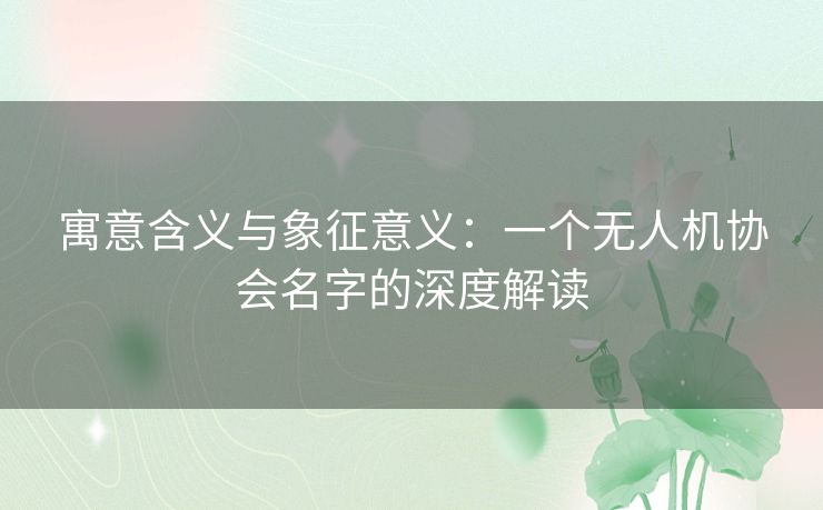 寓意含义与象征意义：一个无人机协会名字的深度解读