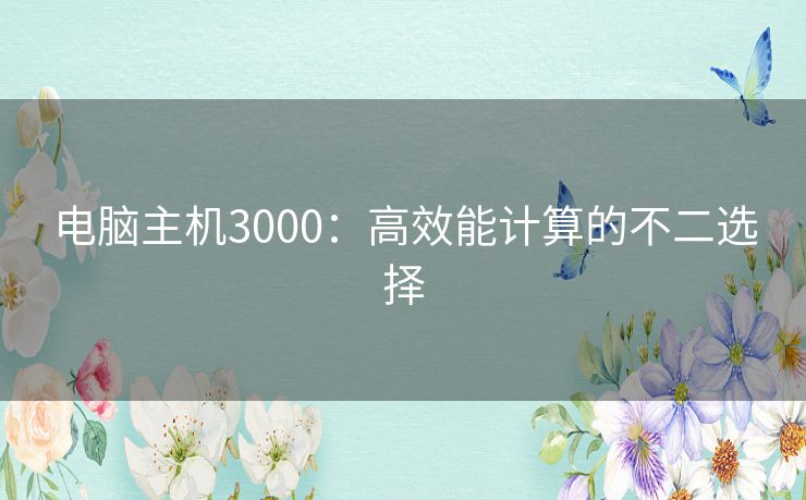 电脑主机3000：高效能计算的不二选择