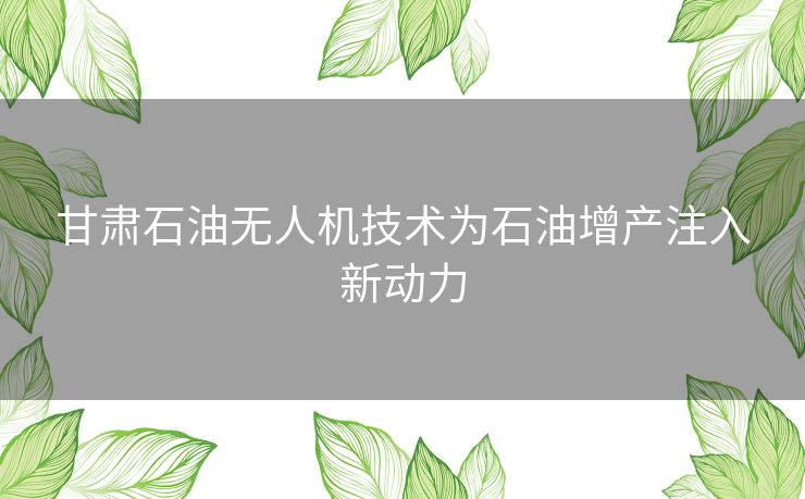 甘肃石油无人机技术为石油增产注入新动力