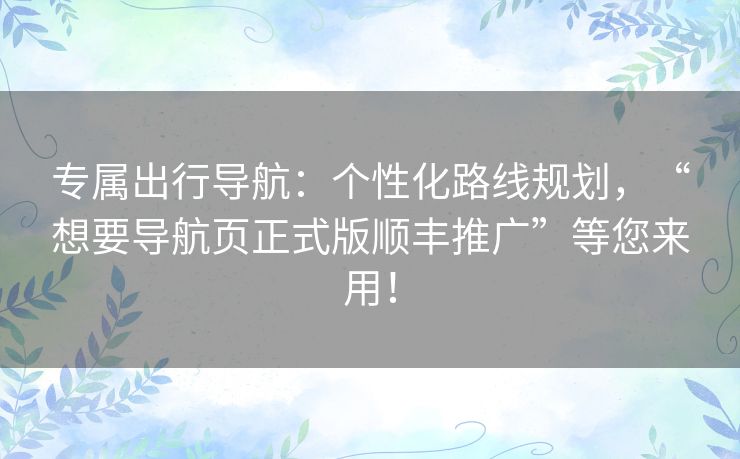 专属出行导航：个性化路线规划，“想要导航页正式版顺丰推广”等您来用！