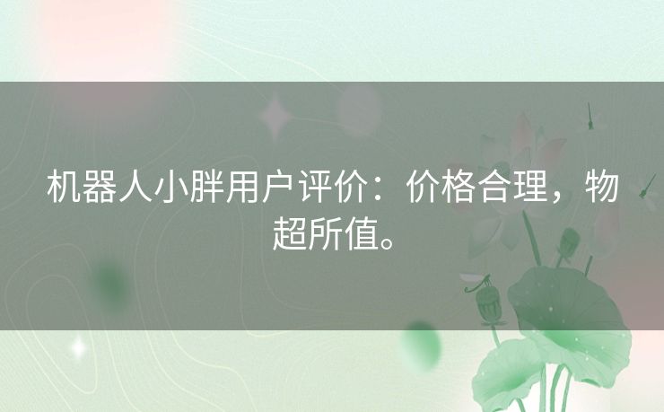 机器人小胖用户评价：价格合理，物超所值。