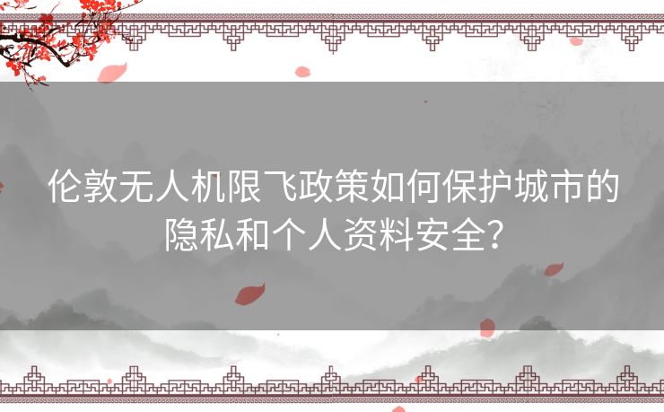 伦敦无人机限飞政策如何保护城市的隐私和个人资料安全？