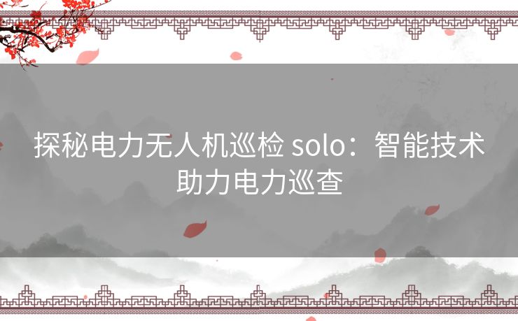 探秘电力无人机巡检 solo：智能技术助力电力巡查