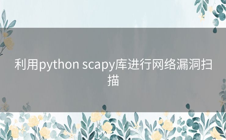 利用python scapy库进行网络漏洞扫描