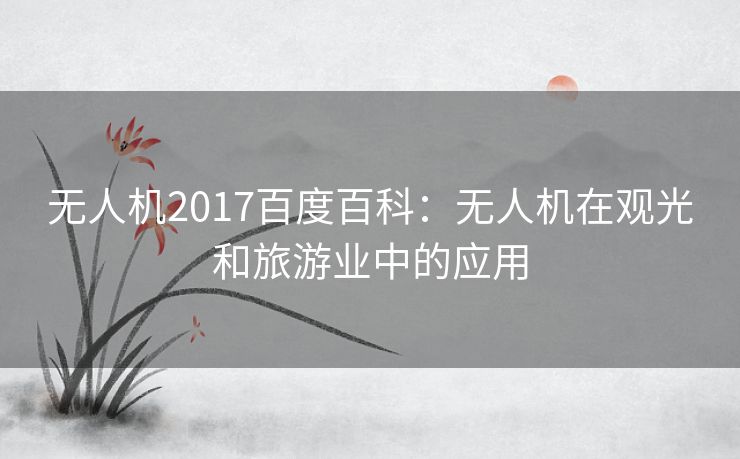 无人机2017百度百科：无人机在观光和旅游业中的应用