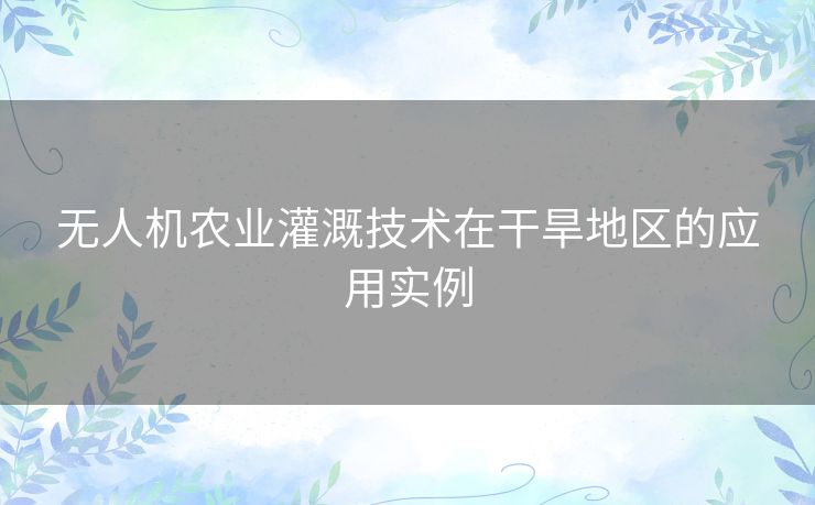 无人机农业灌溉技术在干旱地区的应用实例