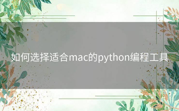 如何选择适合mac的python编程工具