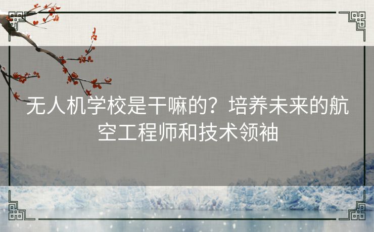 无人机学校是干嘛的？培养未来的航空工程师和技术领袖