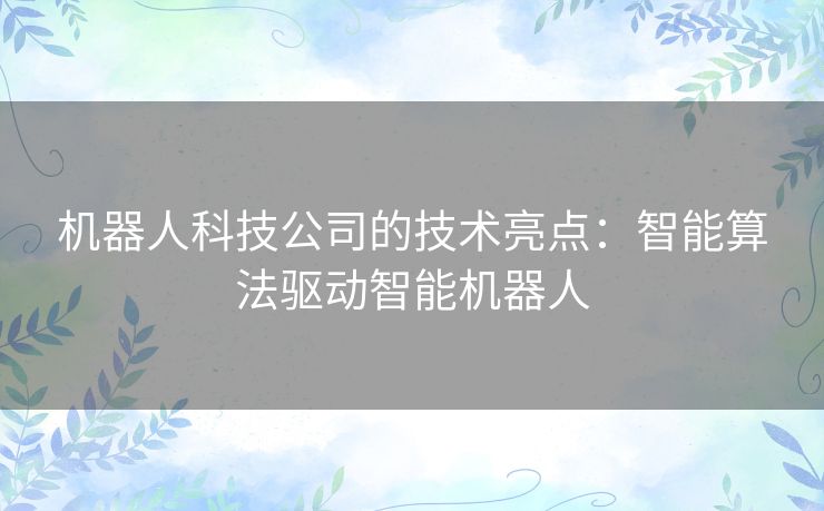 机器人科技公司的技术亮点：智能算法驱动智能机器人