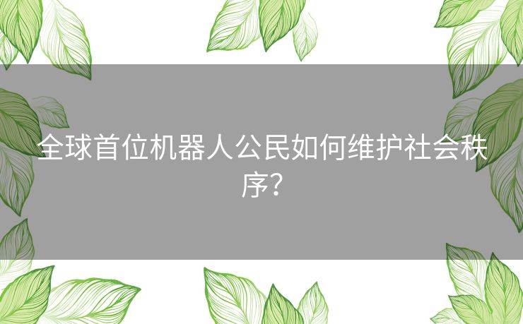 全球首位机器人公民如何维护社会秩序？