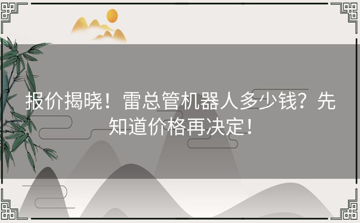 报价揭晓！雷总管机器人多少钱？先知道价格再决定！