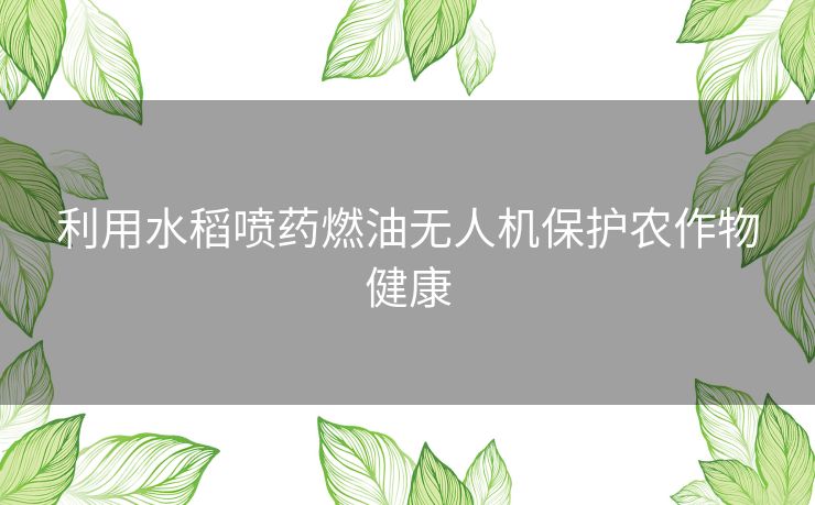 利用水稻喷药燃油无人机保护农作物健康