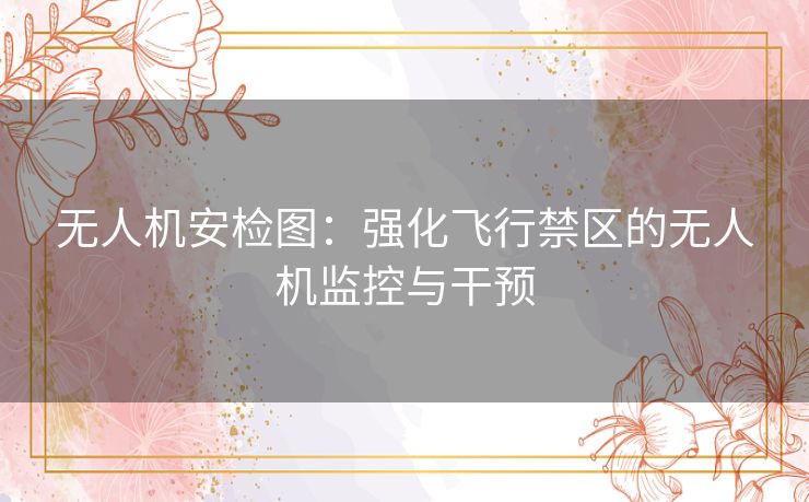 无人机安检图：强化飞行禁区的无人机监控与干预