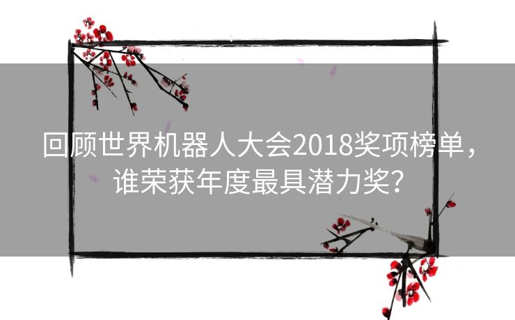 回顾世界机器人大会2018奖项榜单，谁荣获年度最具潜力奖？