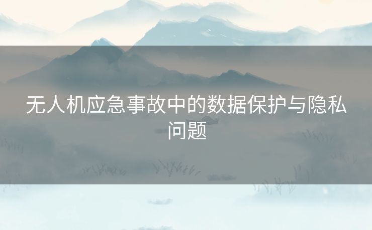 无人机应急事故中的数据保护与隐私问题