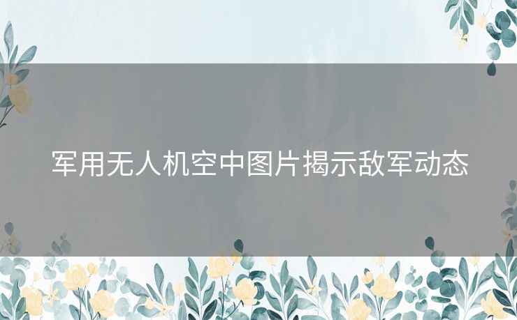 军用无人机空中图片揭示敌军动态