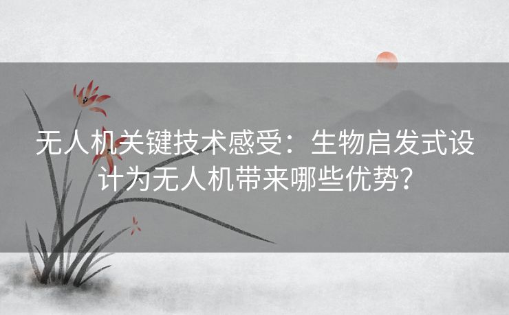 无人机关键技术感受：生物启发式设计为无人机带来哪些优势？