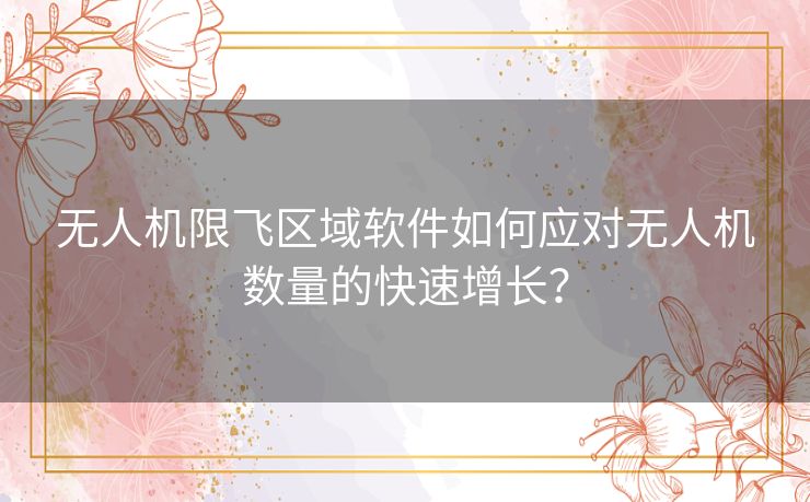 无人机限飞区域软件如何应对无人机数量的快速增长？