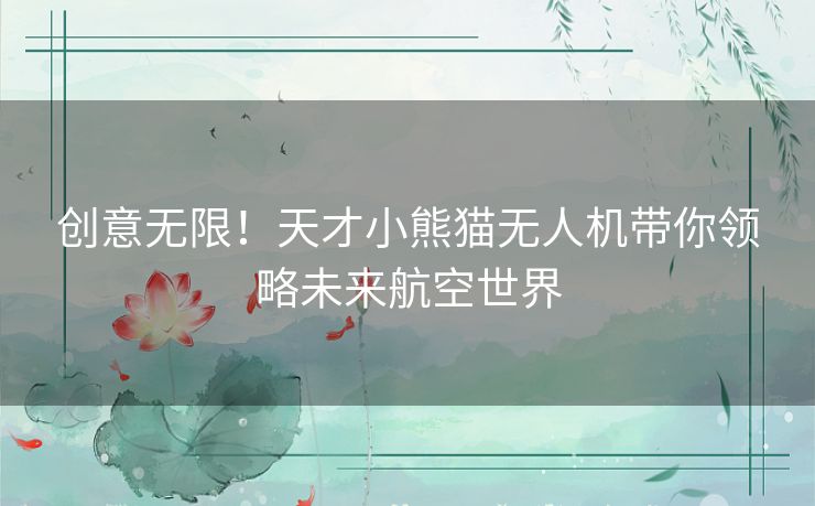 创意无限！天才小熊猫无人机带你领略未来航空世界