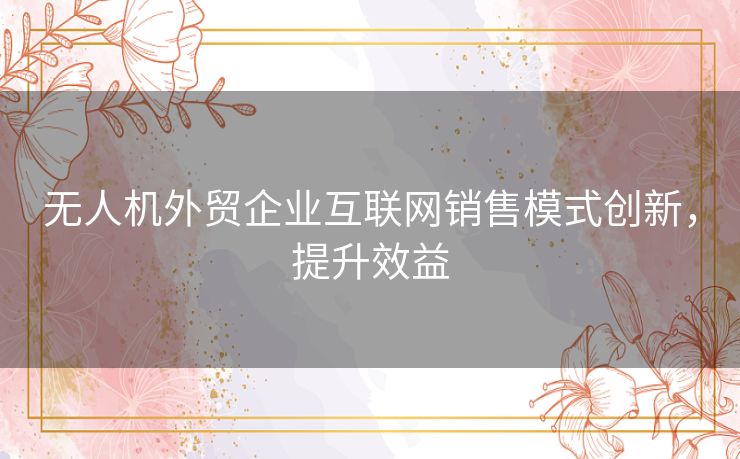 无人机外贸企业互联网销售模式创新，提升效益