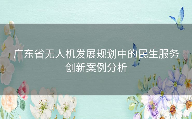 广东省无人机发展规划中的民生服务创新案例分析