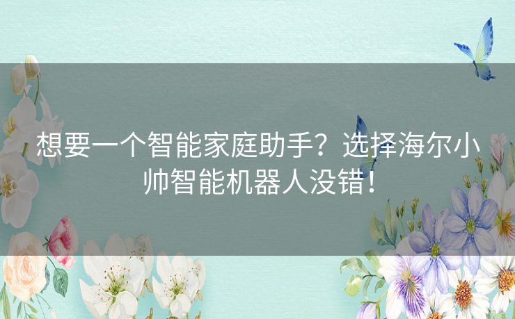 想要一个智能家庭助手？选择海尔小帅智能机器人没错！