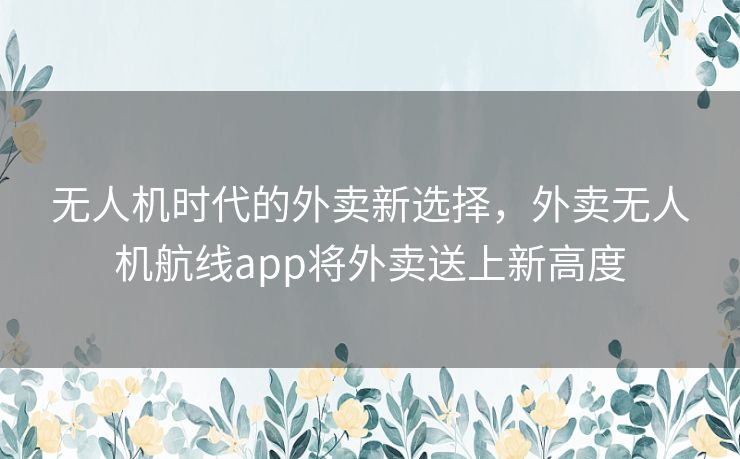 无人机时代的外卖新选择，外卖无人机航线app将外卖送上新高度