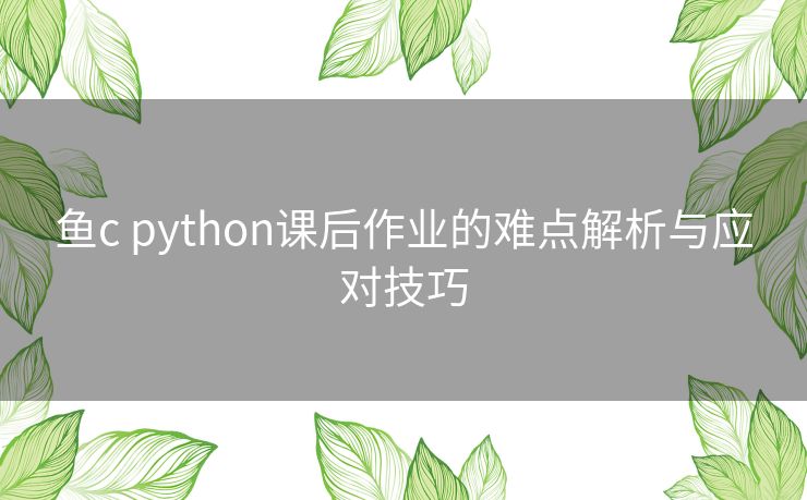 鱼c python课后作业的难点解析与应对技巧