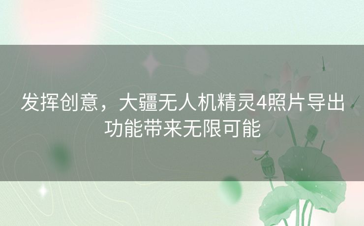 发挥创意，大疆无人机精灵4照片导出功能带来无限可能