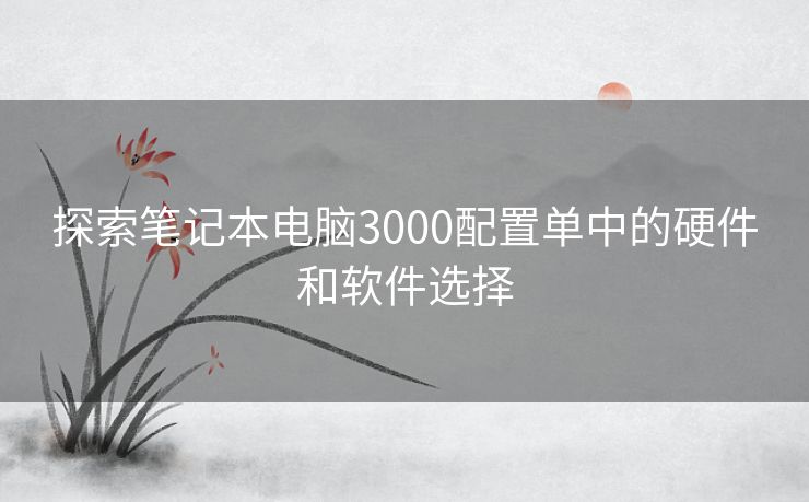 探索笔记本电脑3000配置单中的硬件和软件选择