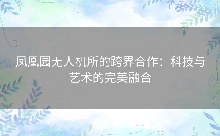 凤凰园无人机所的跨界合作：科技与艺术的完美融合