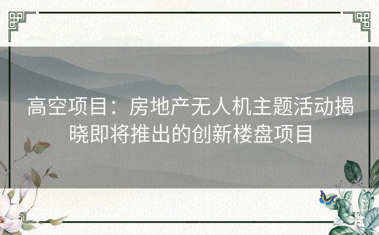 高空项目：房地产无人机主题活动揭晓即将推出的创新楼盘项目