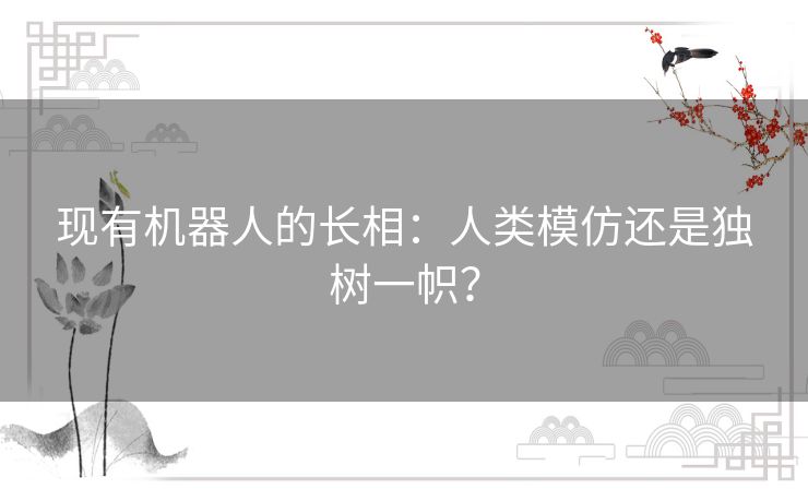 现有机器人的长相：人类模仿还是独树一帜？