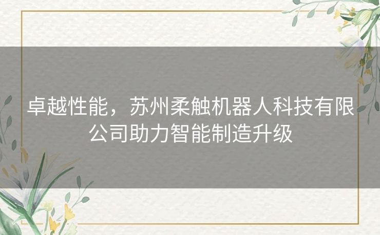 卓越性能，苏州柔触机器人科技有限公司助力智能制造升级