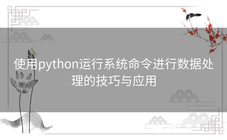 使用python运行系统命令进行数据处理的技巧与应用