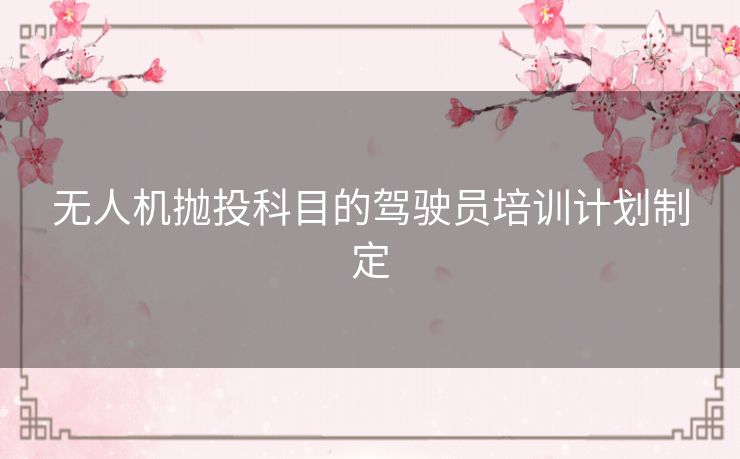 无人机抛投科目的驾驶员培训计划制定