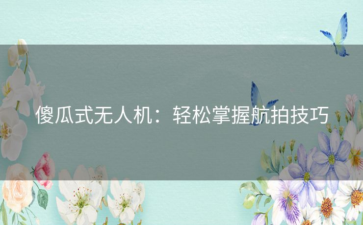 傻瓜式无人机：轻松掌握航拍技巧