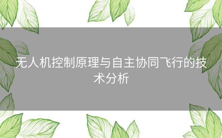 无人机控制原理与自主协同飞行的技术分析