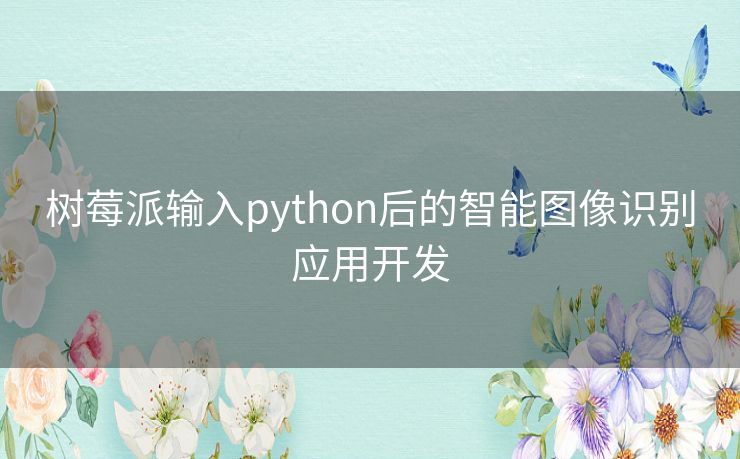 树莓派输入python后的智能图像识别应用开发