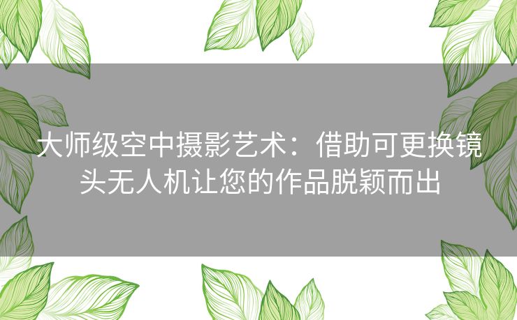 大师级空中摄影艺术：借助可更换镜头无人机让您的作品脱颖而出