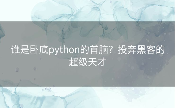 谁是卧底python的首脑？投奔黑客的超级天才