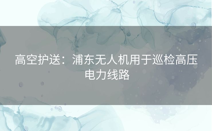 高空护送：浦东无人机用于巡检高压电力线路