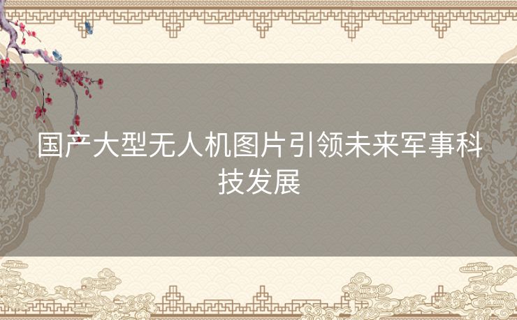 国产大型无人机图片引领未来军事科技发展