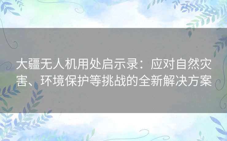 大疆无人机用处启示录：应对自然灾害、环境保护等挑战的全新解决方案