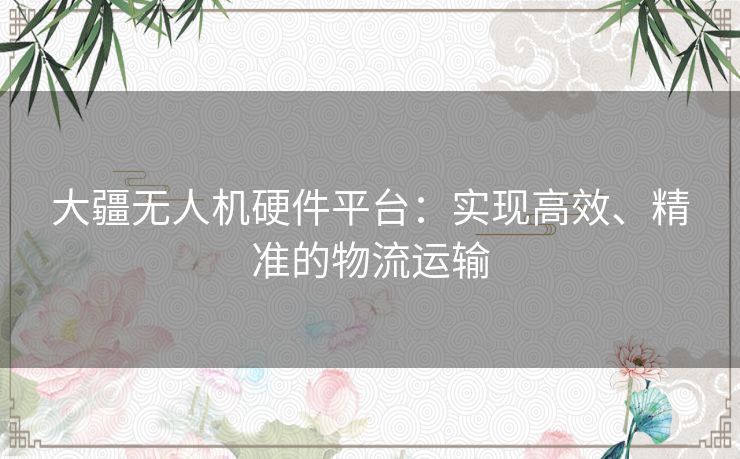 大疆无人机硬件平台：实现高效、精准的物流运输