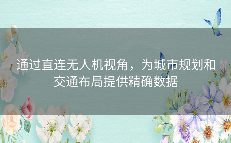 通过直连无人机视角，为城市规划和交通布局提供精确数据