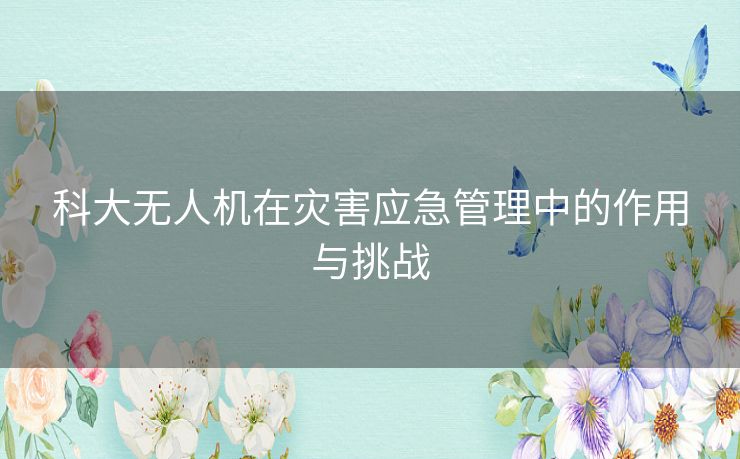 科大无人机在灾害应急管理中的作用与挑战