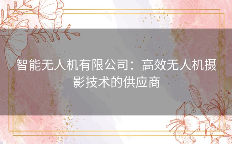 智能无人机有限公司：高效无人机摄影技术的供应商